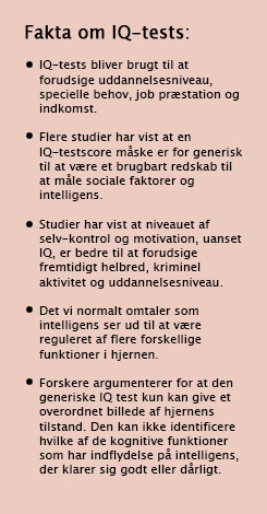 Fakta om IQ-Test