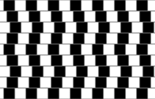 The café wall illusion. The café wall illusion. All the horizontal lines are parallel.